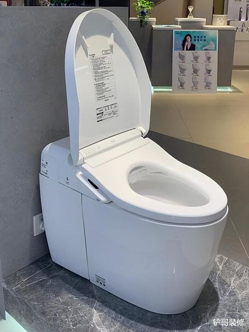 從紅極一時到漸被冷落 智能馬桶與立柱盆的體驗反思